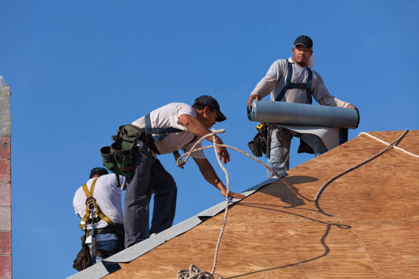 Best Roof Waterproofing Services  in Coats Bend, AL