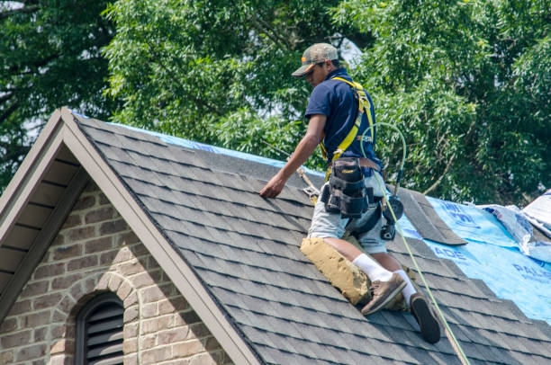 Best Gutter Installation and Roofing  in Coats Bend, AL